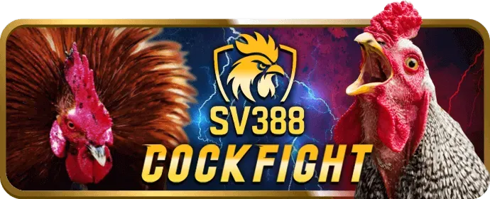 Tỷ lệ cược cạnh tranh net1 win